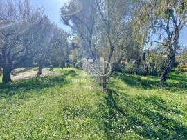 Vente
CHARMANTE VILLA AVEC PISCINE AU CALME PLASCASSIER VUE DEGAGEE SA