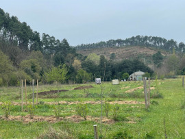 
                                                                                        Vente
                                                                                         Château XIV eme, XVIeme, et domaine arboricole