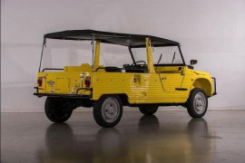 
                                                                                        Voiture
                                                                                         Citroën Mehari 4x4