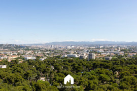 
                                                                                        Location
                                                                                         Collines du Roy