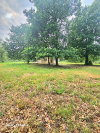 
                                                                                        Vente
                                                                                         Deux maisons sur un terrain de 3000 m2 .