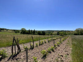 Vente
Deux terrains à bâtir sur un terrain de 1,3 ha,