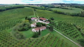 
                                                                                        Vente
                                                                                         DOMAINE PRUNICOLE 65 ha - AGEN