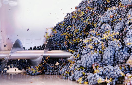 
                                                                                        Vente
                                                                                         DOMAINE VITICOLE EN PROVENCE 200 HA