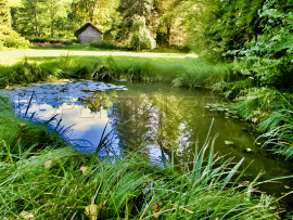 Vente
DORDOGNE LOGIS MOULIN A EAU 8 HA