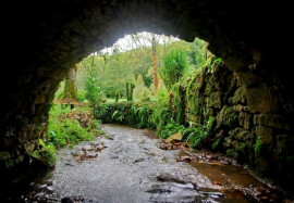 Vente
DORDOGNE LOGIS MOULIN A EAU 8 HA