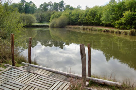 Vente
DORDOGNE PROPRIETE 6 HA ETANG PUITS