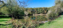 Vente
DORDOGNE PROPRIETE 6 HA ETANG PUITS