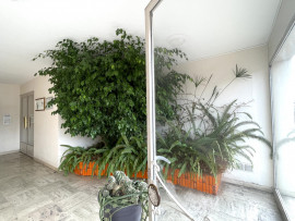 
                                                                                        Vente
                                                                                         Draguignan Appartement 85 m2 env 4 pièce(s) Belle vue, Terrasse, Parking, Cave