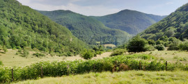 
                                                                                        Vente
                                                                                         DROME PROVENCALE DOMAINE 28 HA PLEINE NATURE