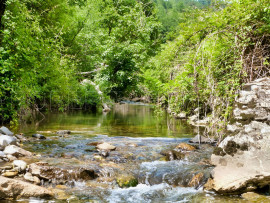 
                                                                                        Vente
                                                                                         En Ardèche Mas de Caractère sur 13 Ha