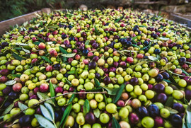 Vente
ESPAGNE OLIVERAIE TRES PRODUCTIVE 375 HA