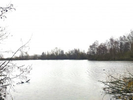 
                                                                                        Vente
                                                                                         Etang de 12.5 ha dans la Somme