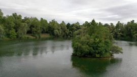 
                                                                                        Vente
                                                                                         Etang de peche et chasse