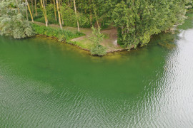 
                                                                                        Vente
                                                                                         Etang de peche et chasse