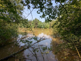 
                                                                                        Vente
                                                                                         Étang et terrain