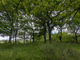 
                                                                                        Vente
                                                                                         Étang et terrain