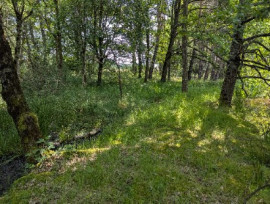 
                                                                                        Vente
                                                                                         Étang et terrain