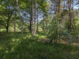 
                                                                                        Vente
                                                                                         Étang et terrain