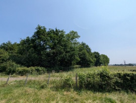 
                                                                                        Vente
                                                                                         Étang et terrain