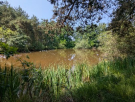 
                                                                                        Vente
                                                                                         Étang et terrain