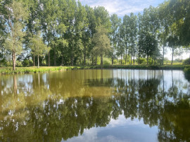 
                                                                                        Vente
                                                                                         Etang pour pêche et terrain de loisirs