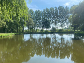 
                                                                                        Vente
                                                                                         Etang pour pêche et terrain de loisirs