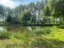 
                                                                                        Vente
                                                                                         Etang pour pêche et terrain de loisirs