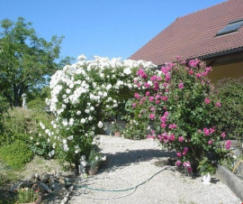 Vente
Exclusive Longére Ferme