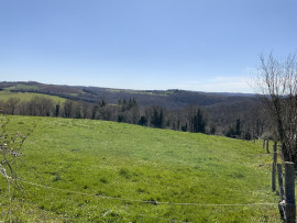 Vente
Ferme avec maison d'hôtes.