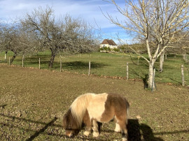 Vente
Ferme du 17e siècle avec 2,1 ha de prairies (dign