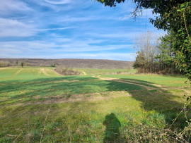 
                                                                                        Vente
                                                                                         Ferme mitoyenne sur 1.500m² avec vue !