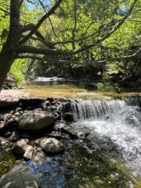 
                                                                                        Vente
                                                                                         Forêt de 308 Hectares au Cœur du Conflent