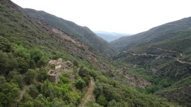 
                                                                                        Vente
                                                                                         Forêt de 308 Hectares au Cœur du Conflent