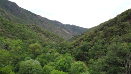 
                                                                                        Vente
                                                                                         Forêt de 308 Hectares au Cœur du Conflent