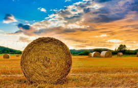 Vente
FRANCE CENTRE PROPRIETE AGRICOLE 370 HA