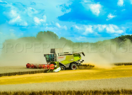 Vente
FRANCE CENTRE PROPRIETE AGRICOLE 370 HA