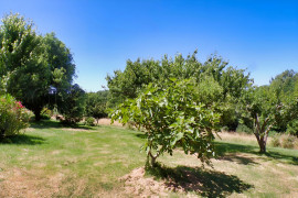 
                                                                                        Vente
                                                                                         GERS AUTHENTIQUE MAISON 145 M² + 1 HA