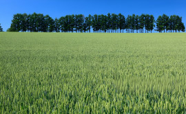 Vente
GERS EXPLOITATION AGRICOLE 320 HA IRRIGUES LACS