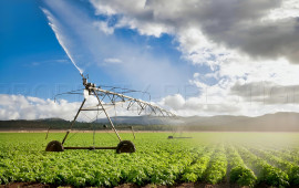 Vente
GERS EXPLOITATION AGRICOLE 320 HA IRRIGUES LACS