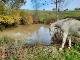 
                                                                                        Vente
                                                                                         GERS Ferme autonome et bioclimatique 42 Ha
