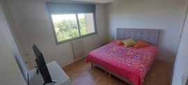 
                                                                                        Location
                                                                                         Grand T2 Quartier Rangueil Université Paul Sabatie