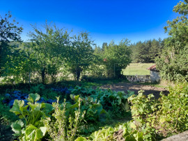 Vente
HAUTE ARDECHE ANCIENNE FERME 8 HA