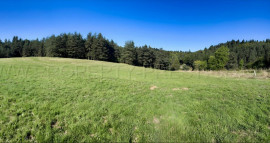 Vente
HAUTE ARDECHE ANCIENNE FERME 8 HA