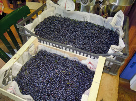 
                                                                                        Vente
                                                                                         HAUTE LOIRE PROPRIETE GITE CH. HOTES 1000 M² 6 HA