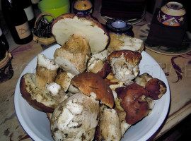 
                                                                                        Vente
                                                                                         HAUTE LOIRE PROPRIETE GITE CH. HOTES 1000 M² 6 HA