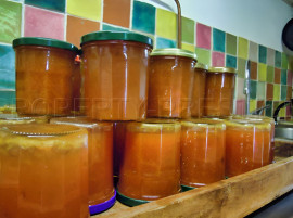 
                                                                                        Vente
                                                                                         HAUTE LOIRE PROPRIETE GITE CH. HOTES 1000 M² 6 HA