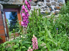 
                                                                                        Vente
                                                                                         HAUTE LOIRE PROPRIETE GITE CH. HOTES 1000 M² 6 HA