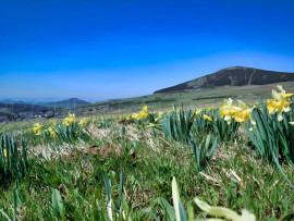 
                                                                                        Vente
                                                                                         HAUTE LOIRE PROPRIETE GITE CH. HOTES 1000 M² 6 HA