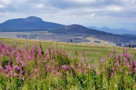 
                                                                                        Vente
                                                                                         HAUTE LOIRE PROPRIETE GITE CH. HOTES 1000 M² 6 HA